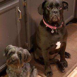 Meet your Posher, Donna